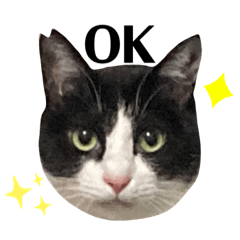 [LINEスタンプ] にゃお＆そーと、福