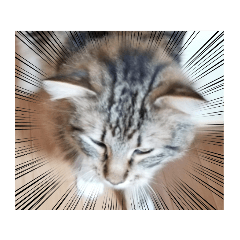 [LINEスタンプ] ジル君♥️