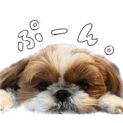 [LINEスタンプ] ぽろんだよ。その2