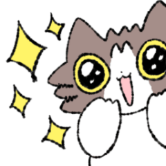 [LINEスタンプ] ゆるねこ4きょうだいスタンプ