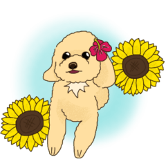 [LINEスタンプ] 幸運の鍵しっぽ犬（再）