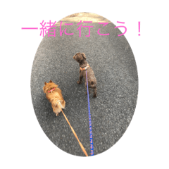 [LINEスタンプ] 犬と自然