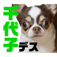 [LINEスタンプ] あたちチヨコ2