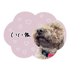 [LINEスタンプ] ♡ともみ様