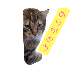 [LINEスタンプ] ジル君II