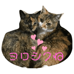 [LINEスタンプ] 猫屋敷オリジナルスタンプ