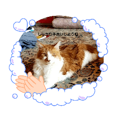 [LINEスタンプ] うちの可愛い動物たち