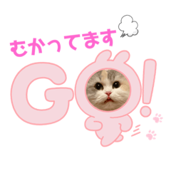 [LINEスタンプ] ぽむちゃん3