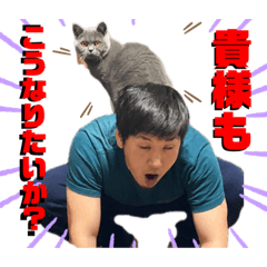 [LINEスタンプ] しんべえのやつ