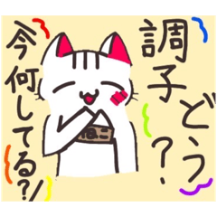 [LINEスタンプ] 白猫スタンプ@onao