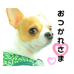 [LINEスタンプ] モカと健真