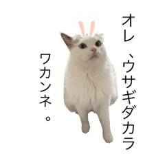 [LINEスタンプ] びとて