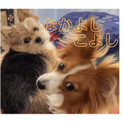 [LINEスタンプ] しのぶちゃんとすずちゃんの日常