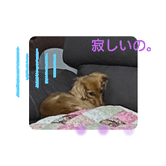 [LINEスタンプ] あんずの気持ち1