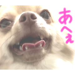[LINEスタンプ] あへきちと愉快なお友達