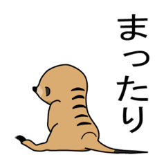 [LINEスタンプ] ミーアキャットの豆太郎