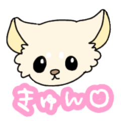 [LINEスタンプ] チワワのベティ