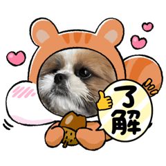 [LINEスタンプ] おてんばしーちゃん
