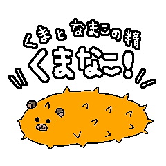 [LINEスタンプ] くまとナマコの妖精 くまなこ！