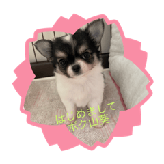 [LINEスタンプ] ボクわさび