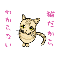 [LINEスタンプ] うちのもちねこ トラ猫