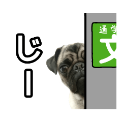 [LINEスタンプ] パグのぽんたスタンプ