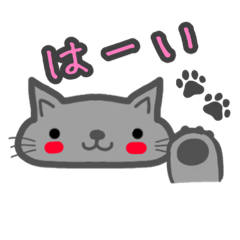 [LINEスタンプ] にゃこのにゃこ