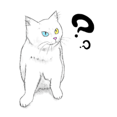 [LINEスタンプ] 自分勝手な猫達