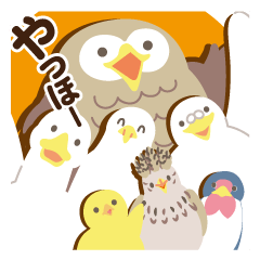 [LINEスタンプ] かわいくて元気な鳥たち