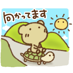 [LINEスタンプ] くまっちのあいさつ