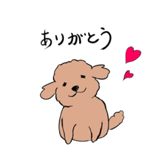 [LINEスタンプ] トイプードルのコロちゃんです。