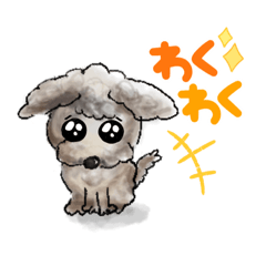 [LINEスタンプ] 瞳で語るトイプードルくん