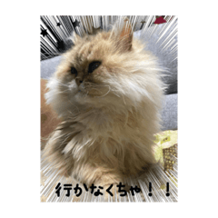 [LINEスタンプ] こぺまる2