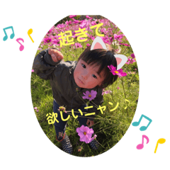 [LINEスタンプ] きい＆しるの日常スタンプ