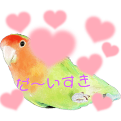 [LINEスタンプ] コザクラインコのくりんちゃん②