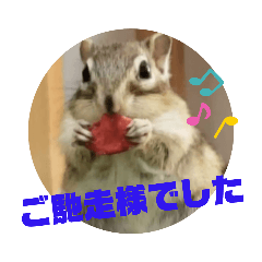 [LINEスタンプ] みんなと一緒19