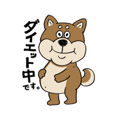 [LINEスタンプ] ぽんすけのふとっちょ柴犬