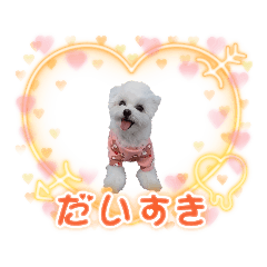 [LINEスタンプ] マルチーズのめめちゃん4
