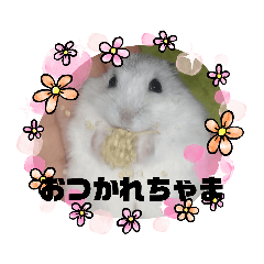 [LINEスタンプ] レイたん＆れおたん
