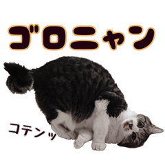 [LINEスタンプ] キジ白ばぁば！vol.2