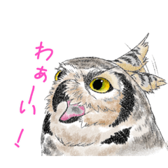 [LINEスタンプ] 北海道エコの動物たち1