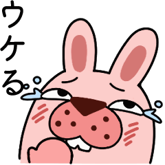 [LINEスタンプ] とにかく毎日使えるポコタスタンプ