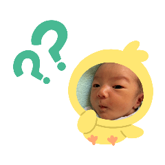 [LINEスタンプ] かしわまる3
