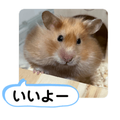 [LINEスタンプ] 可愛いこつぶの日常2