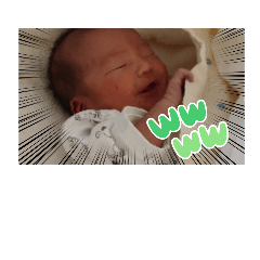[LINEスタンプ] かしわまる2