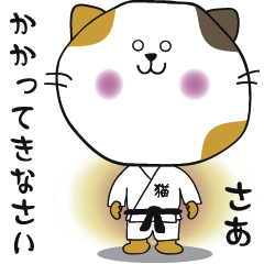 [LINEスタンプ] 空手キャットタマちゃん