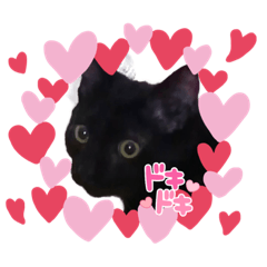 [LINEスタンプ] 凛and優