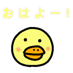 [LINEスタンプ] ピヨピヨぴよこの日常