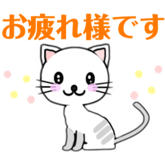 [LINEスタンプ] 【 ランチ 食事 飲食 お誘い 】☆ネコ ねこ