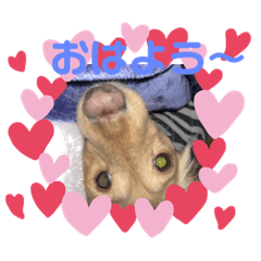 [LINEスタンプ] 來優❣️麗來3